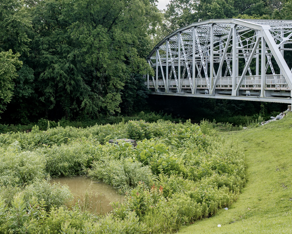 wetland near a bridge