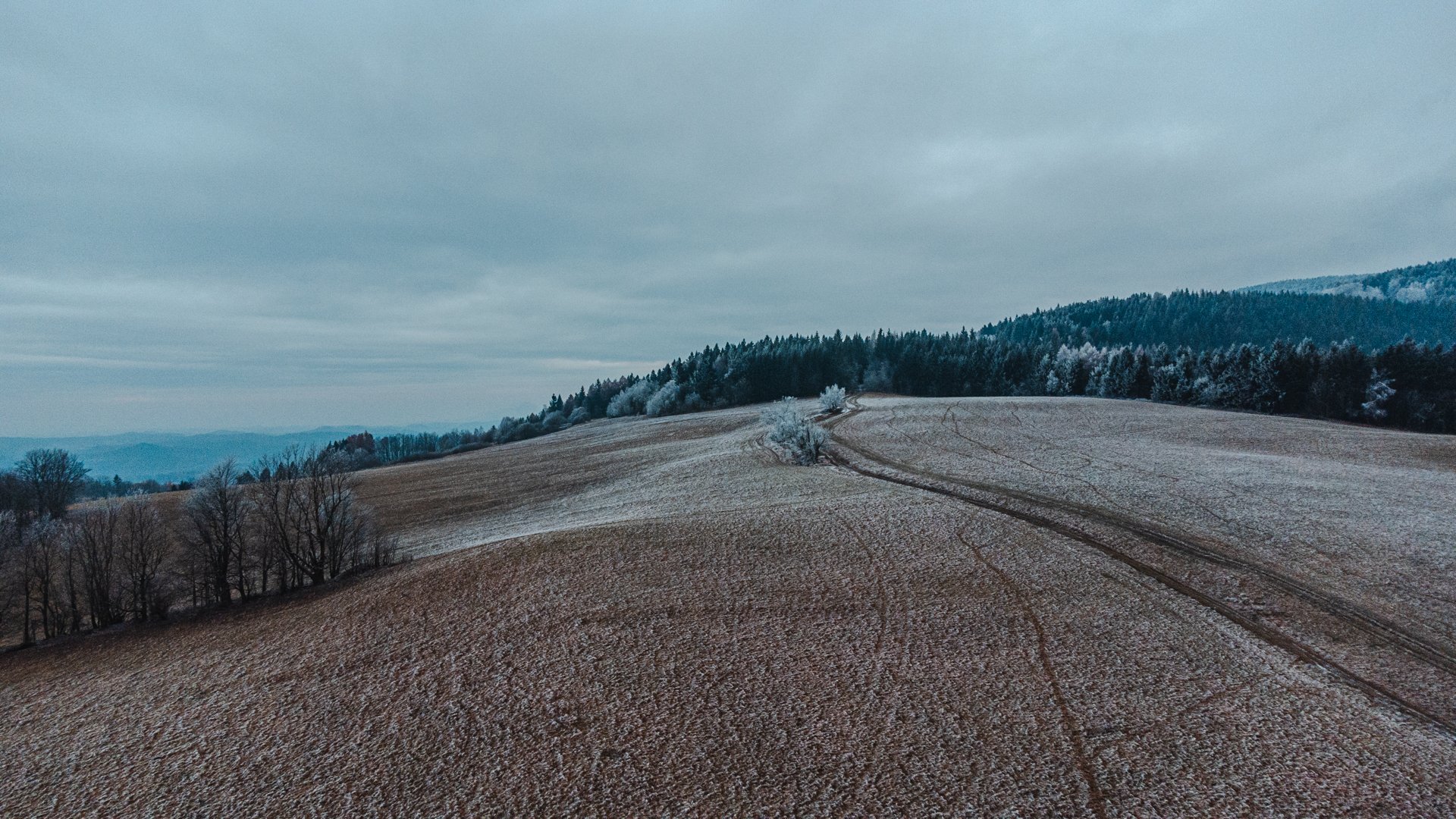DJI_0513.jpg
