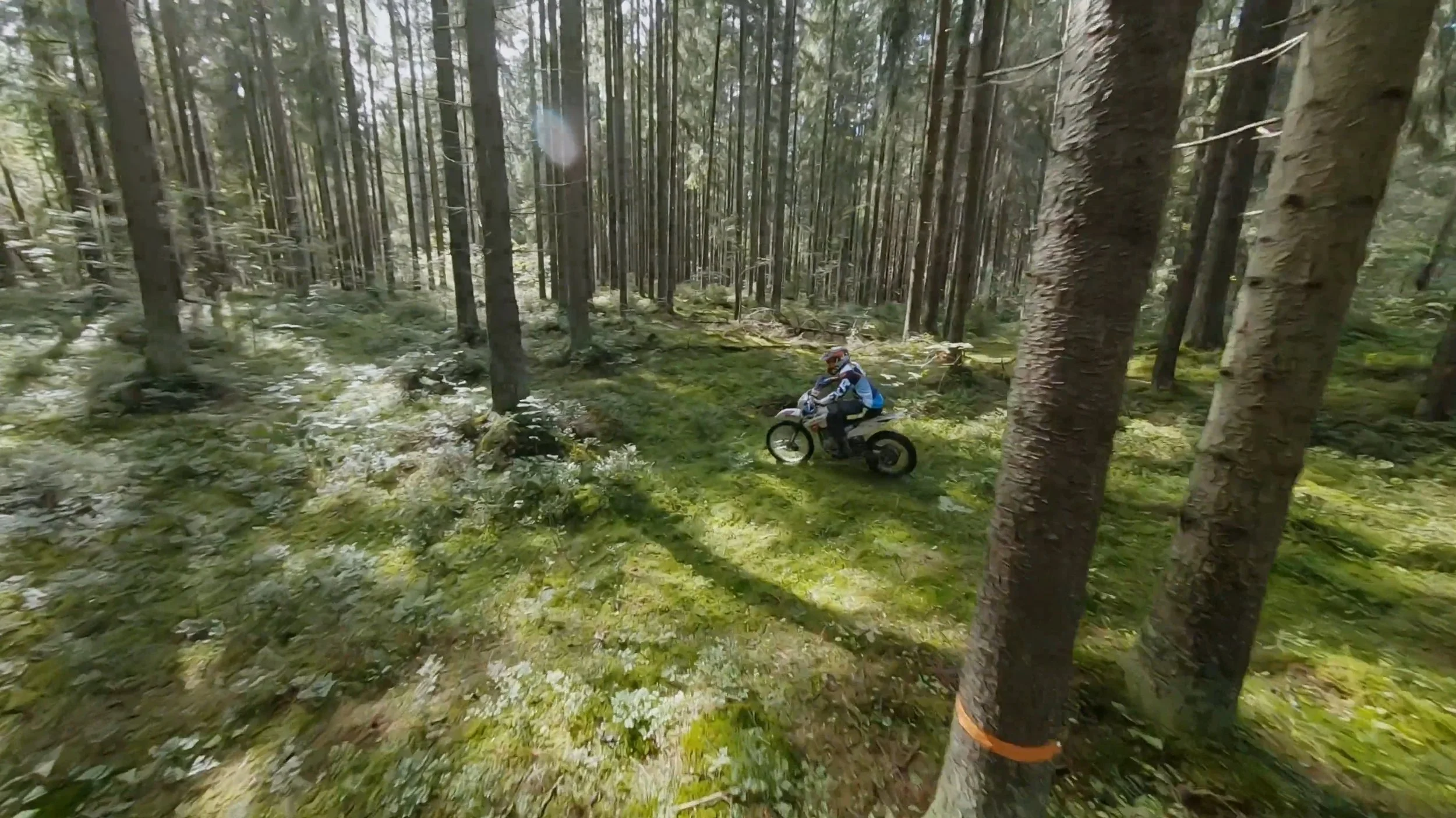 Still 2026-01-10 194905_1.61.1.jpg