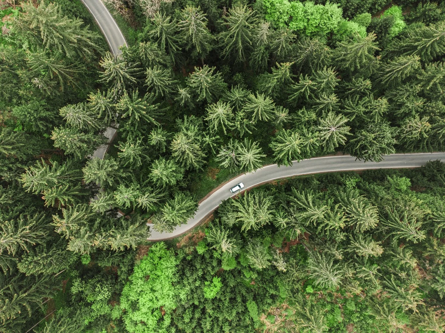 DJI_0055.jpg