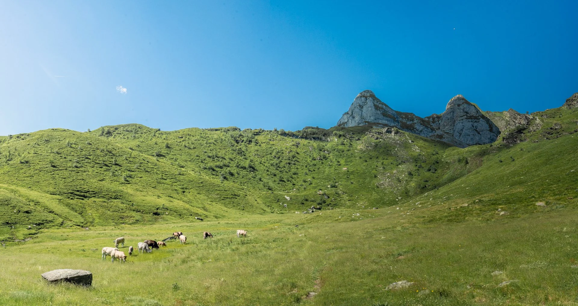 23_04311-Pano.jpg