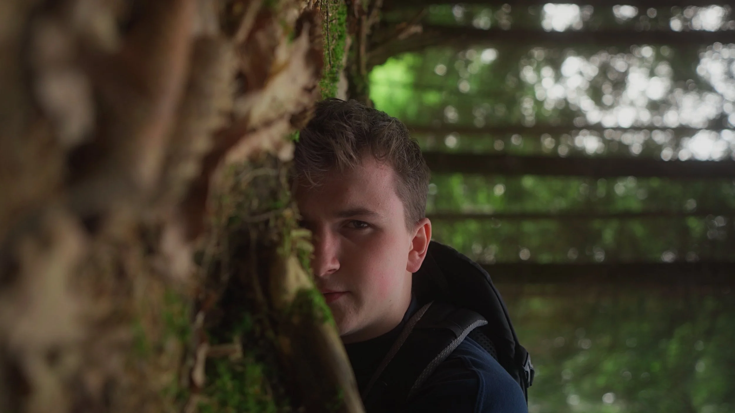 beforeafter-apocalipse (2).jpg