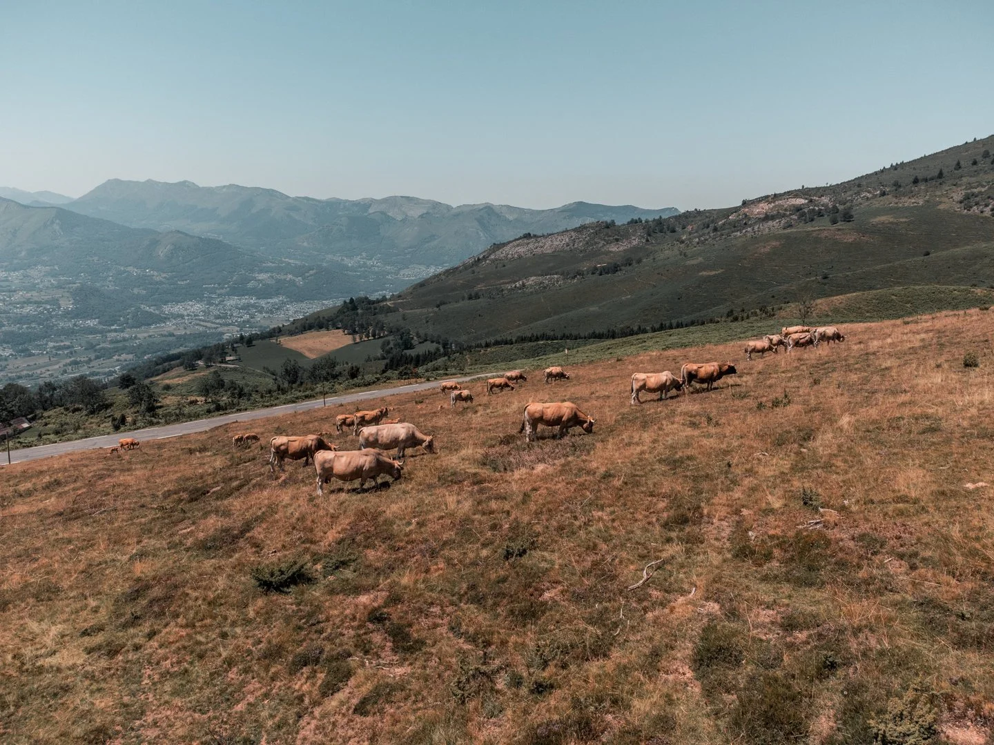 DJI_0658.jpg