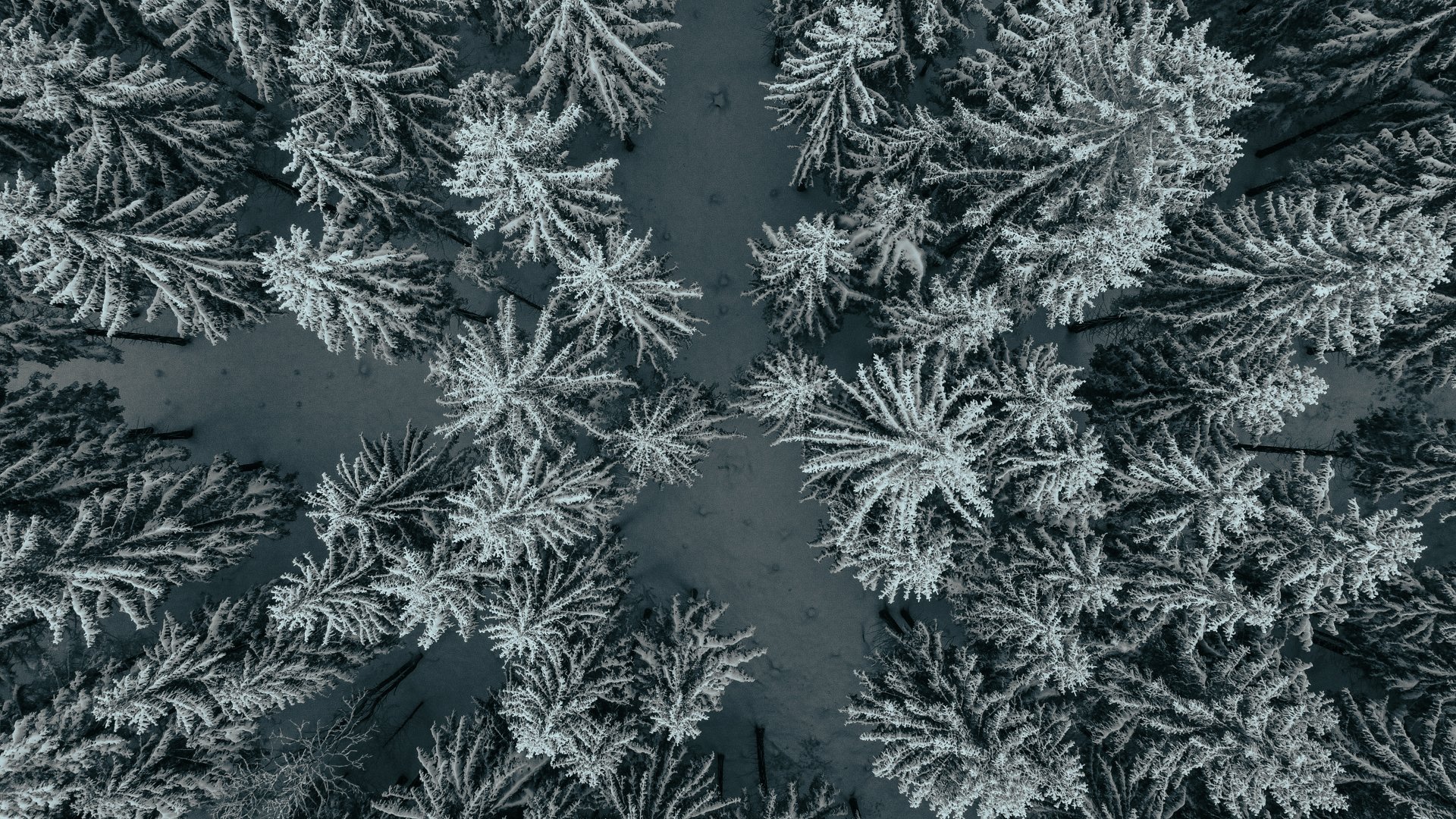 DJI_0203.jpg
