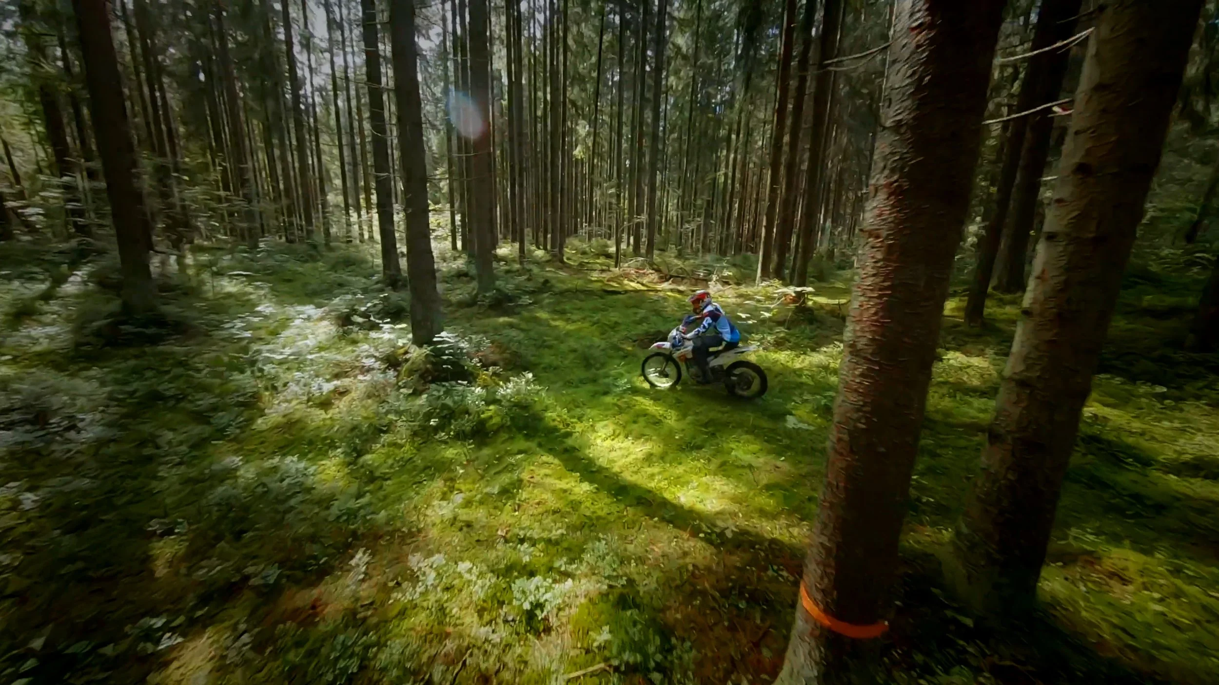 Still 2026-01-10 194905_1.61.2.jpg