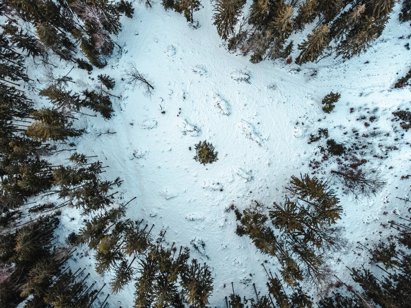 DJI_0038.jpg