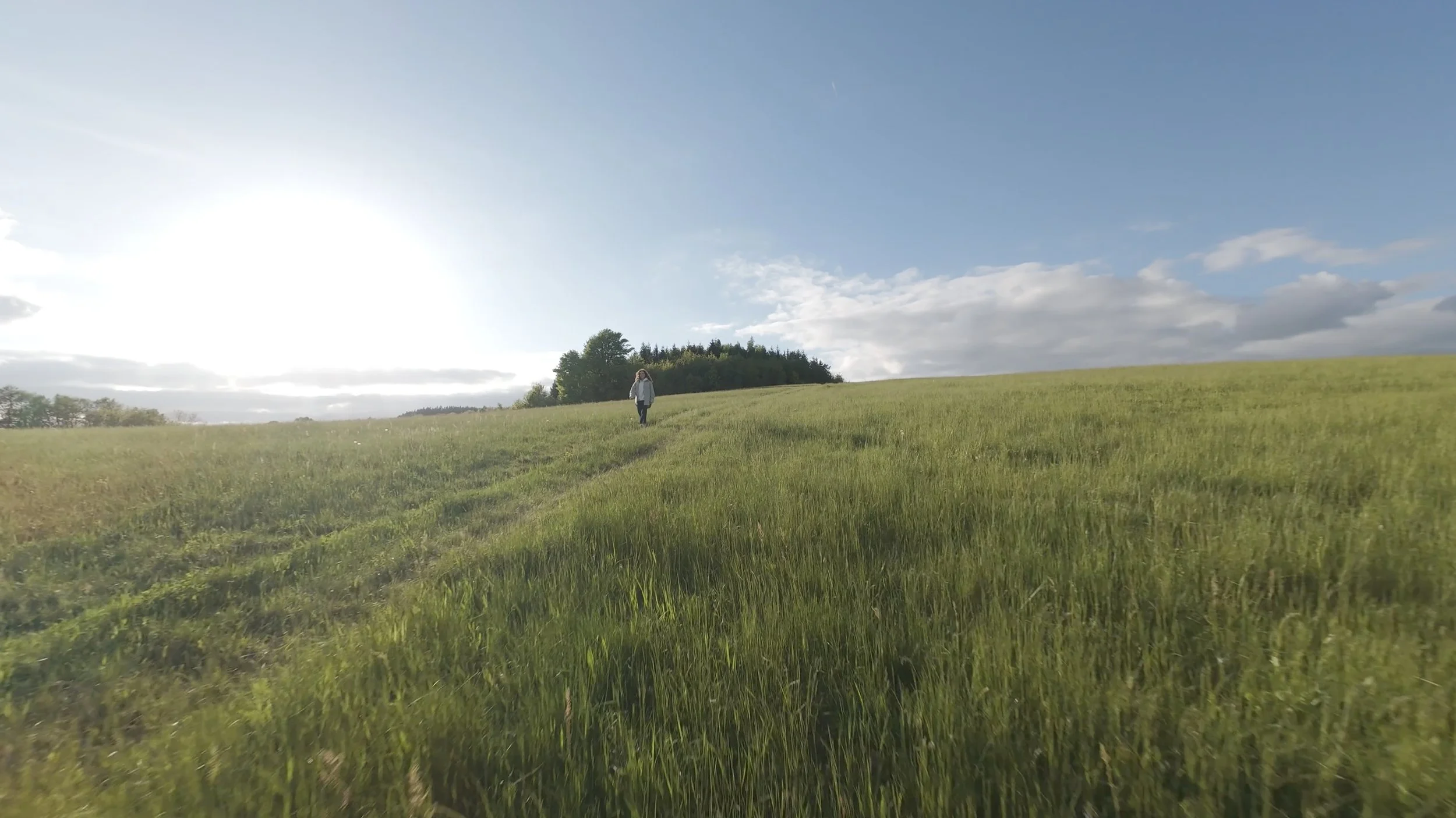 beforeafter-FPVdrone (1).jpg