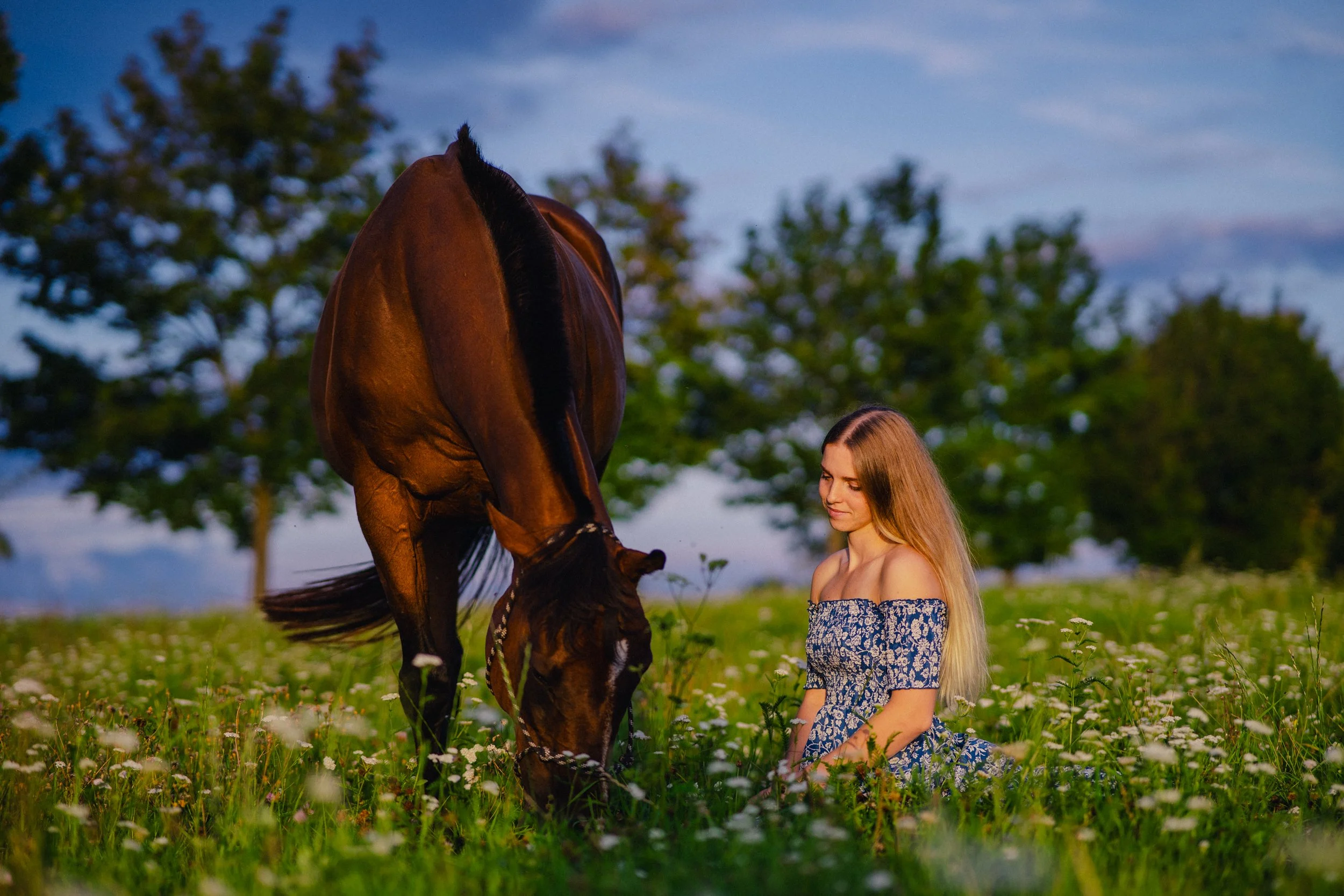 Horses