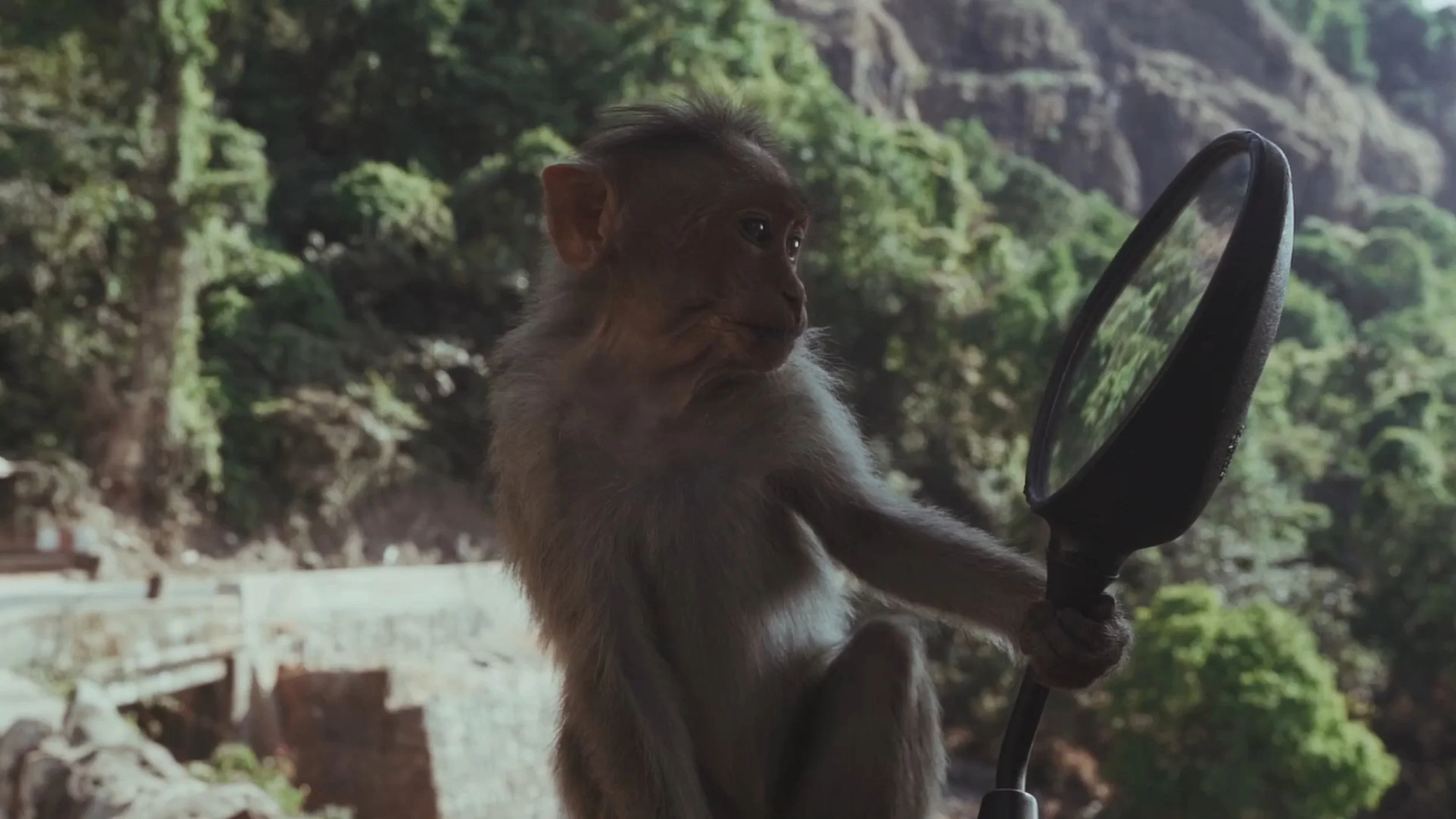 Still 2026-01-10 194905_1.54.2.jpg