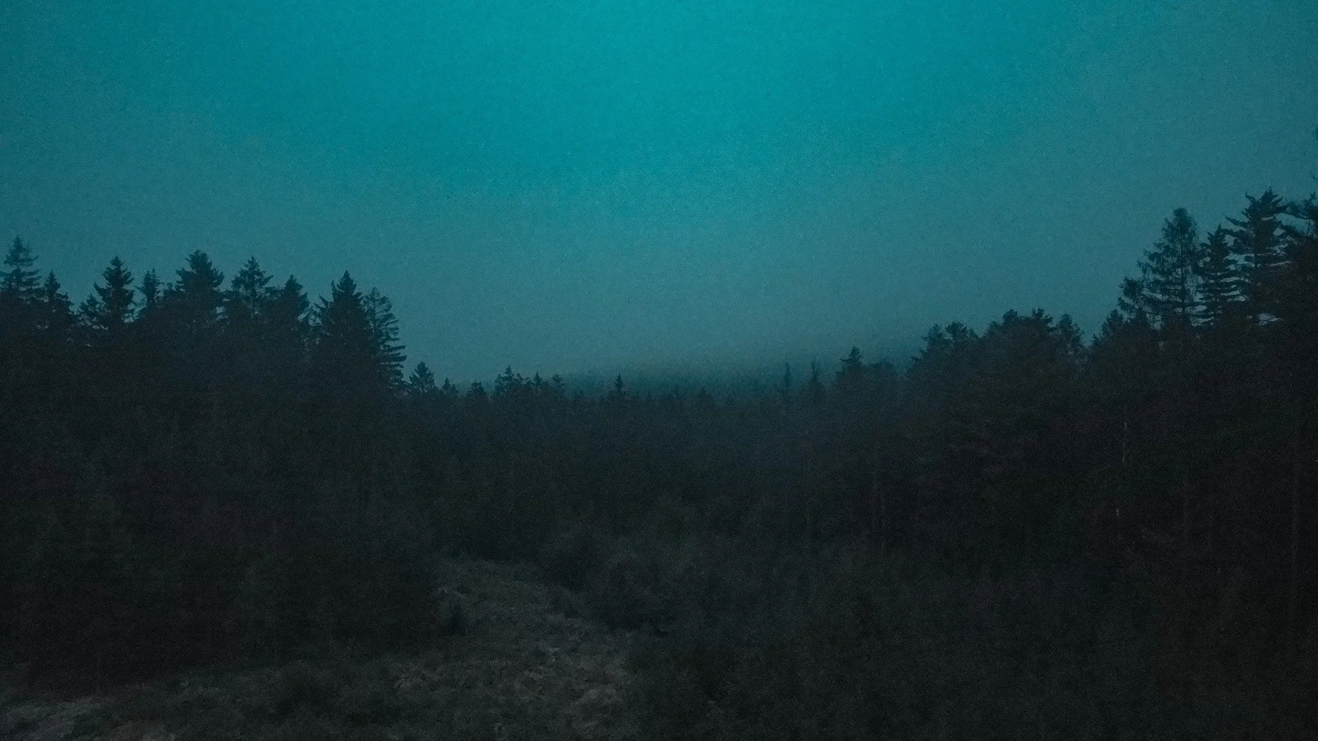 DJI_0500.jpg