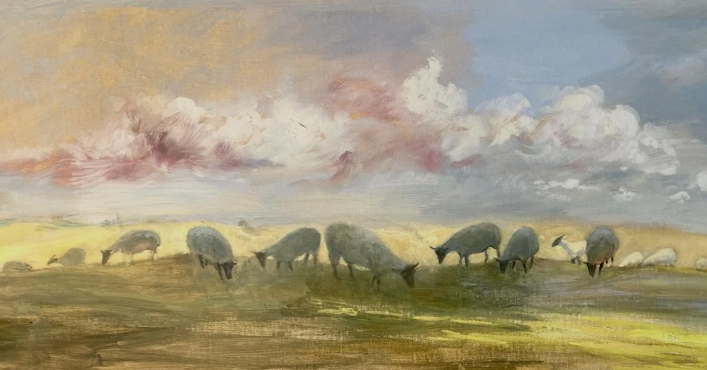 Sheep on the skyline on the Dorset downs #heskethhubbardartsociety #chesterart #chesterartsessions #penrithartclub #elizabethparsons #herefordartist