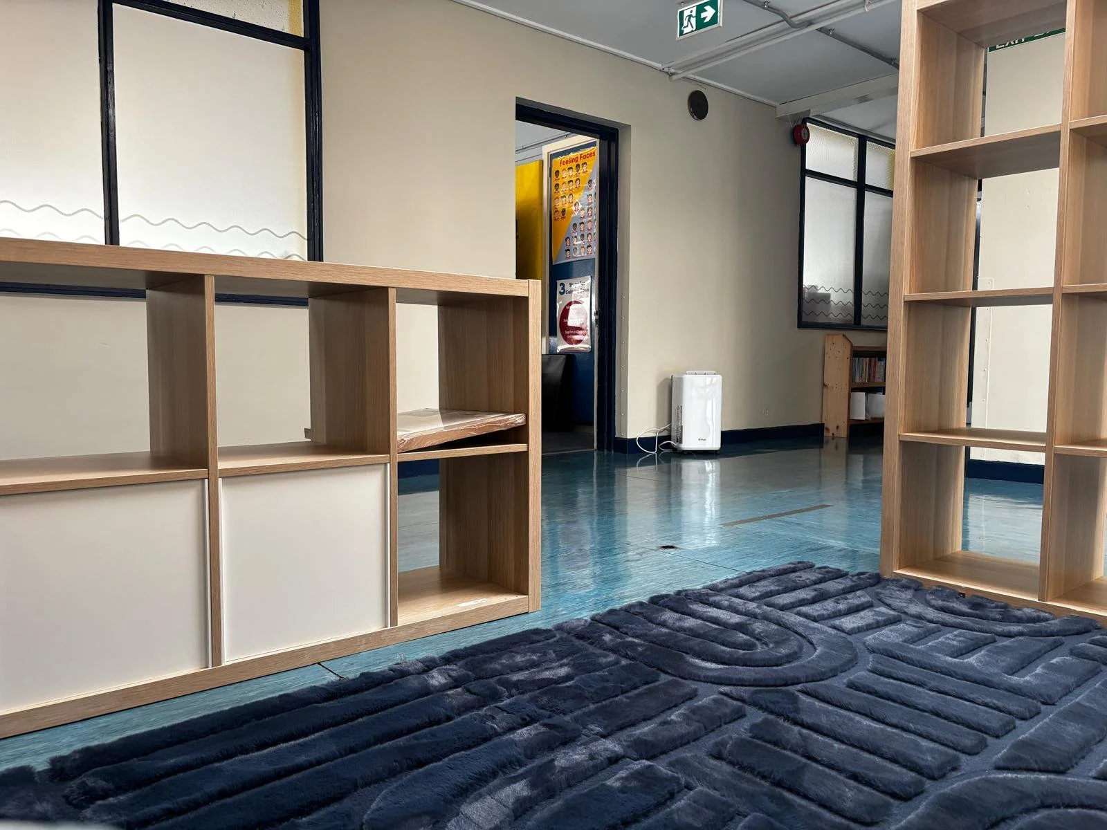 An interior space with two wooden shelves, a small white dehumidifier, a black and gray rug, in a room with white walls, black window frames, a door leading to a corridor, and a bookcase in the background.