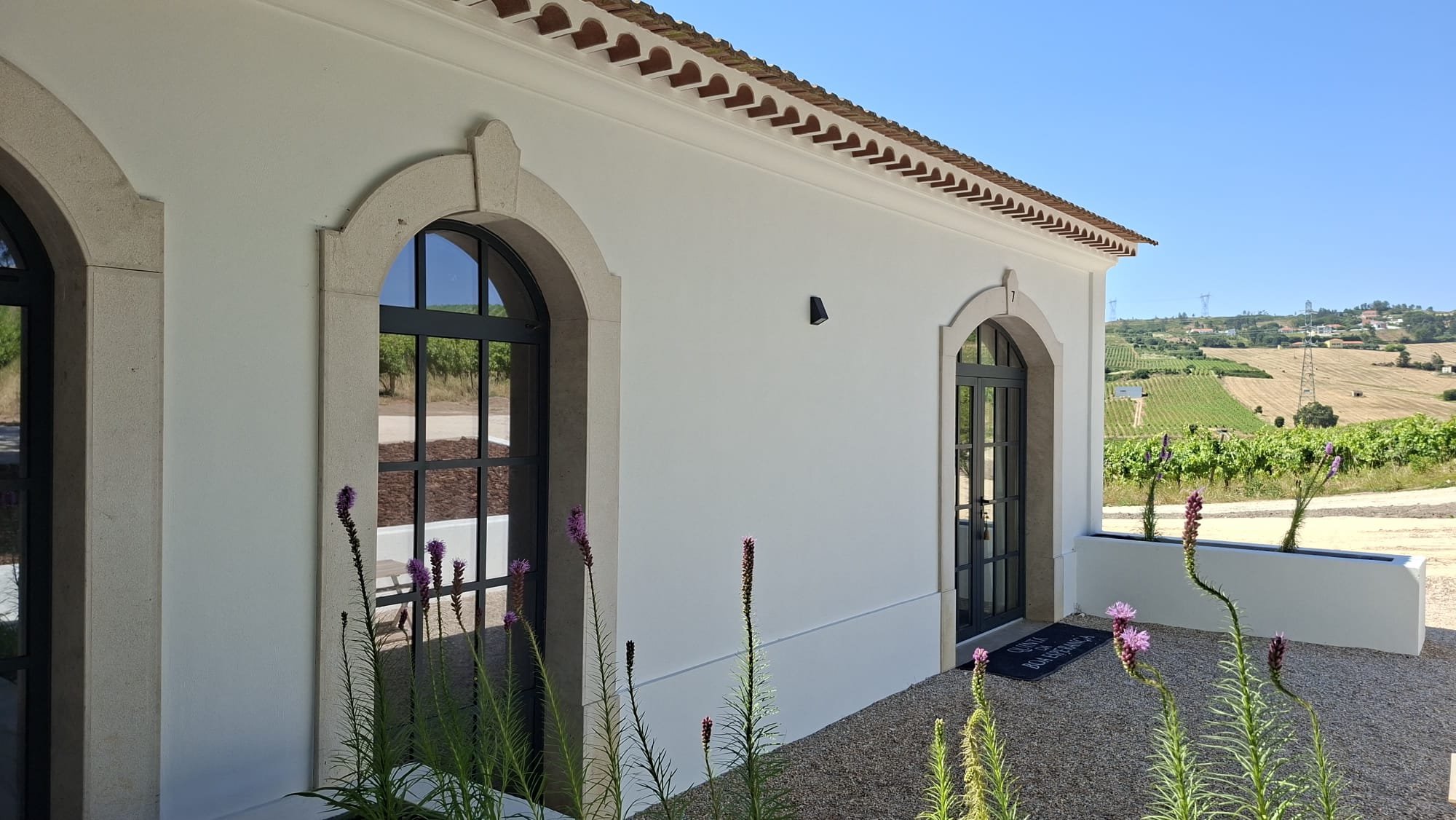 Exterior of a modern house with arched windows and a white wall, overlooking a vineyard with hills in the background under a clear blue sky.