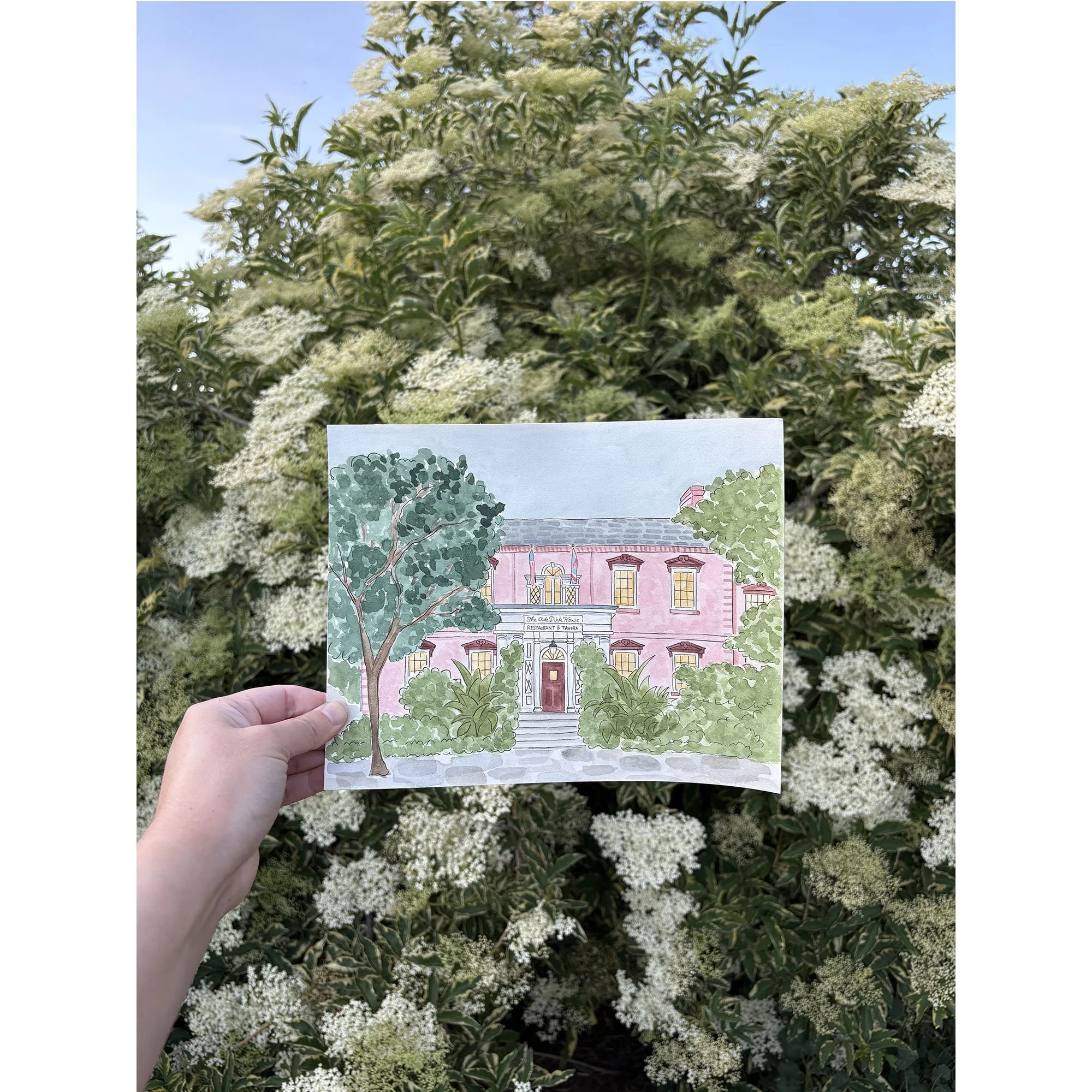 Olde Pink House 2.jpg