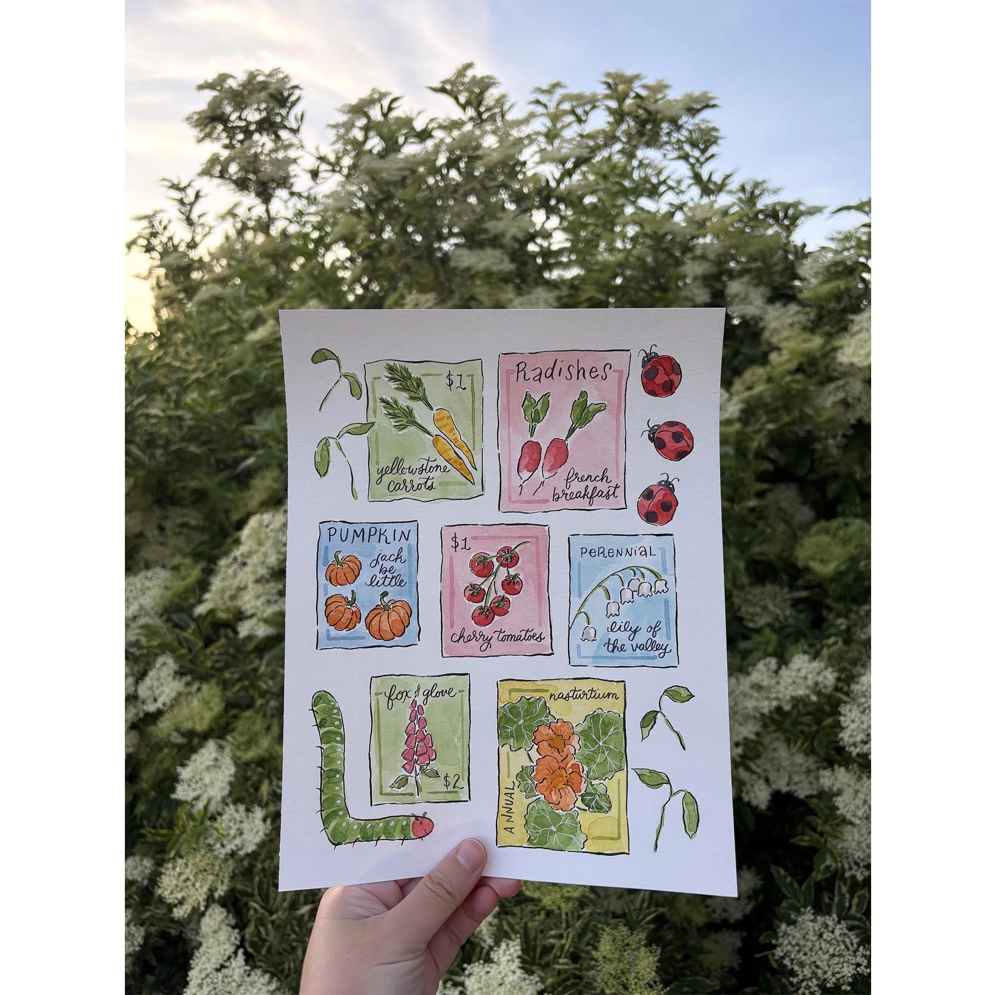 garden seed packets 1.jpg