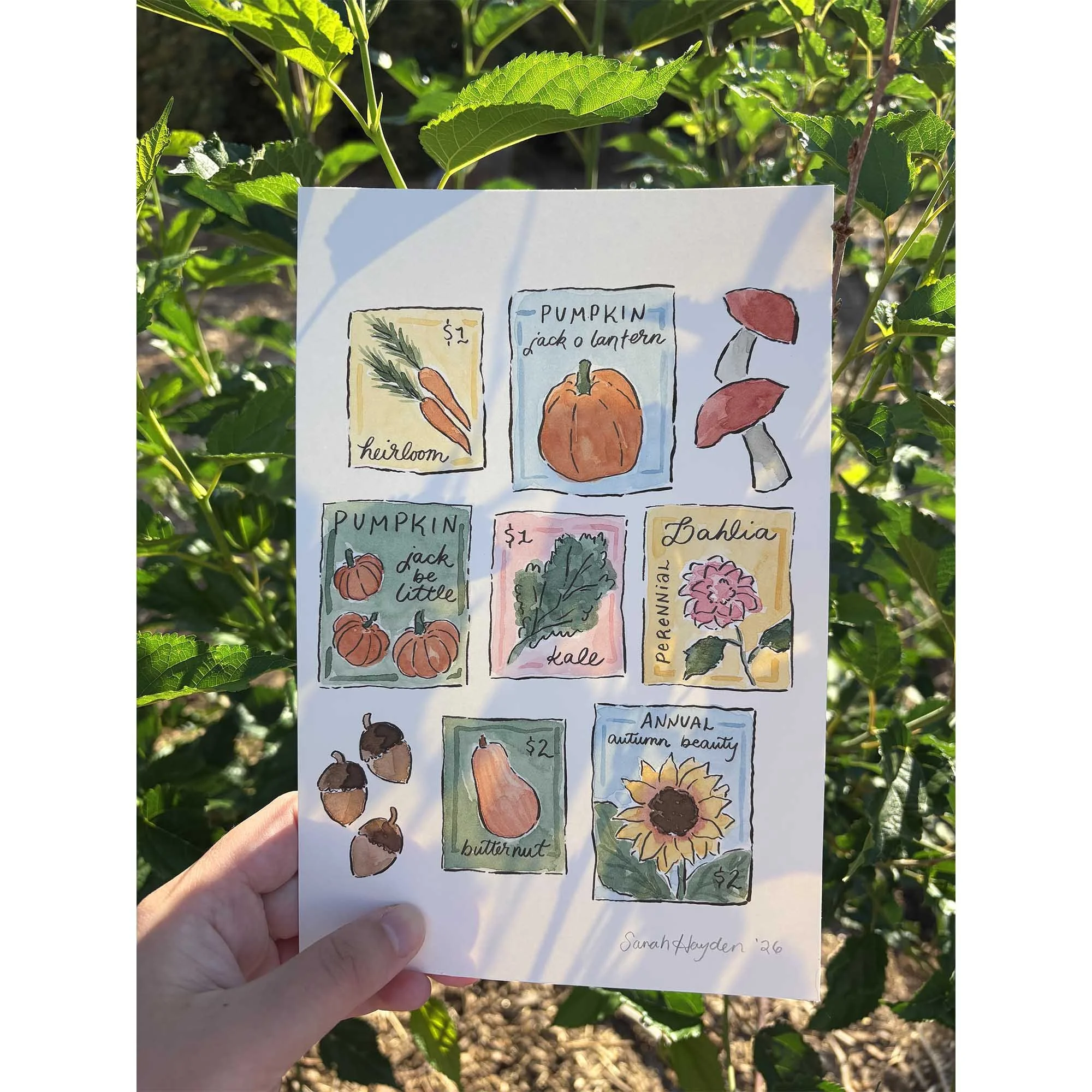 Fall Seed Packets Original Painting by Sarah Hayden 2.jpg