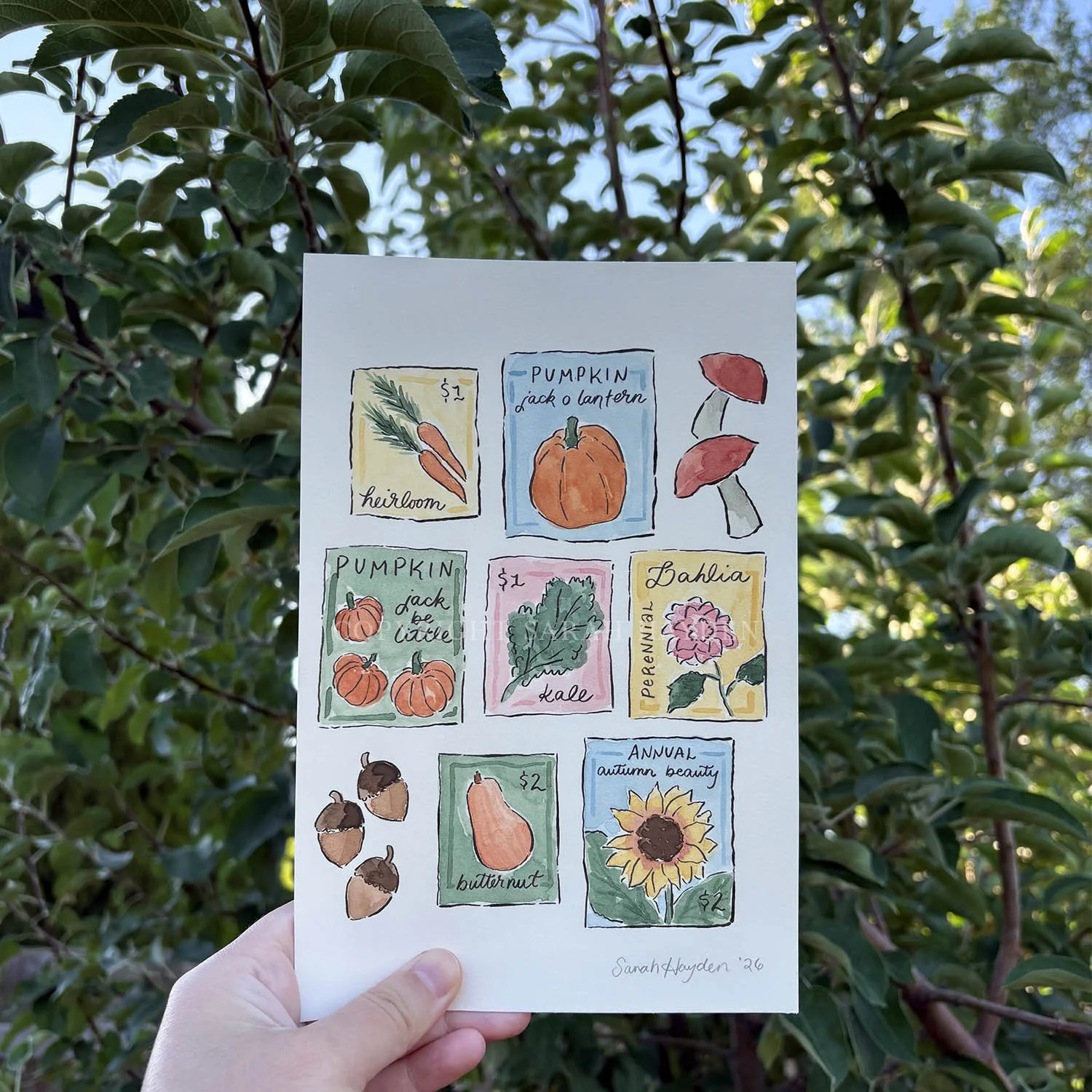 Fall Seed Packets Original Painting by Sarah Hayden 1.jpg
