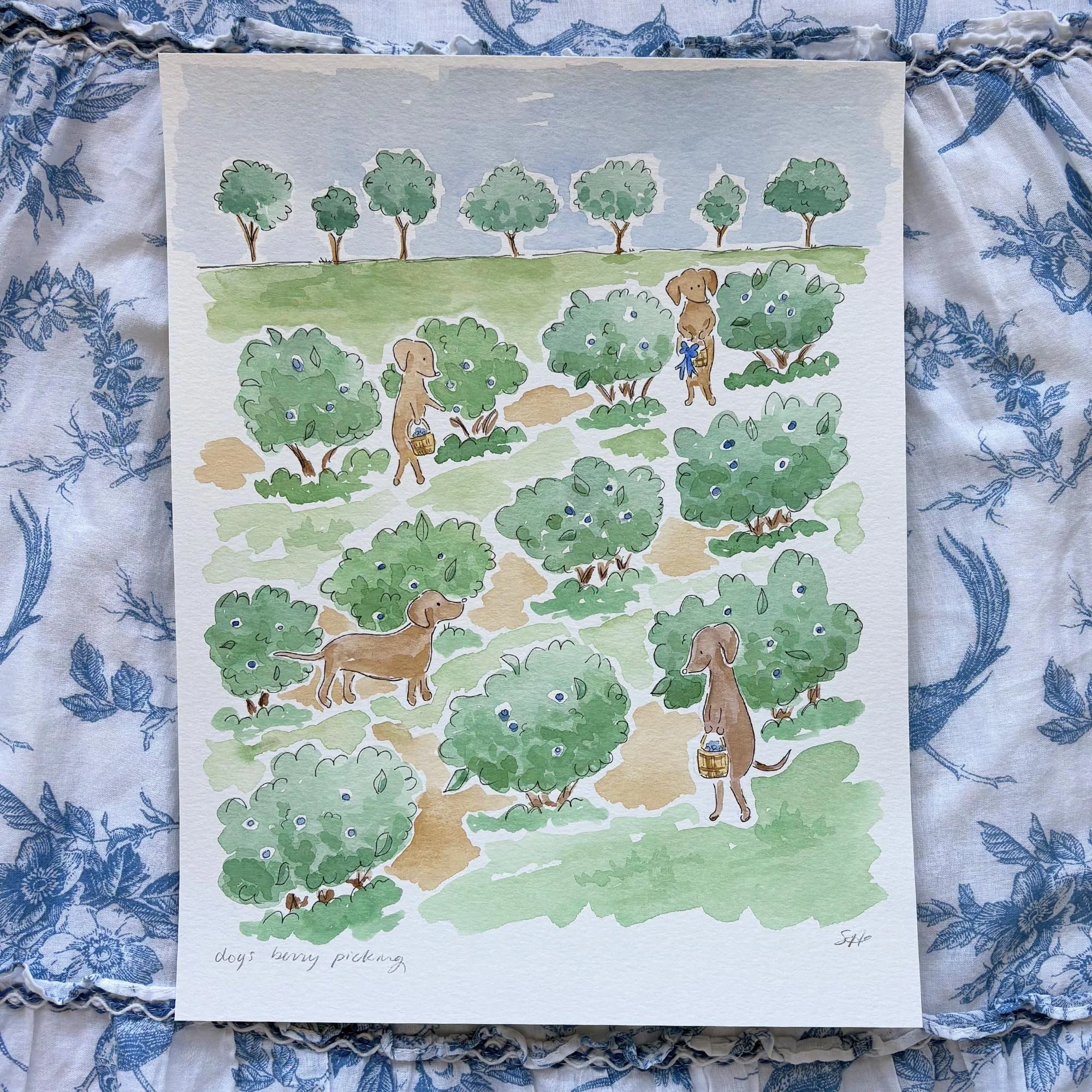 Berry picking 1.jpg
