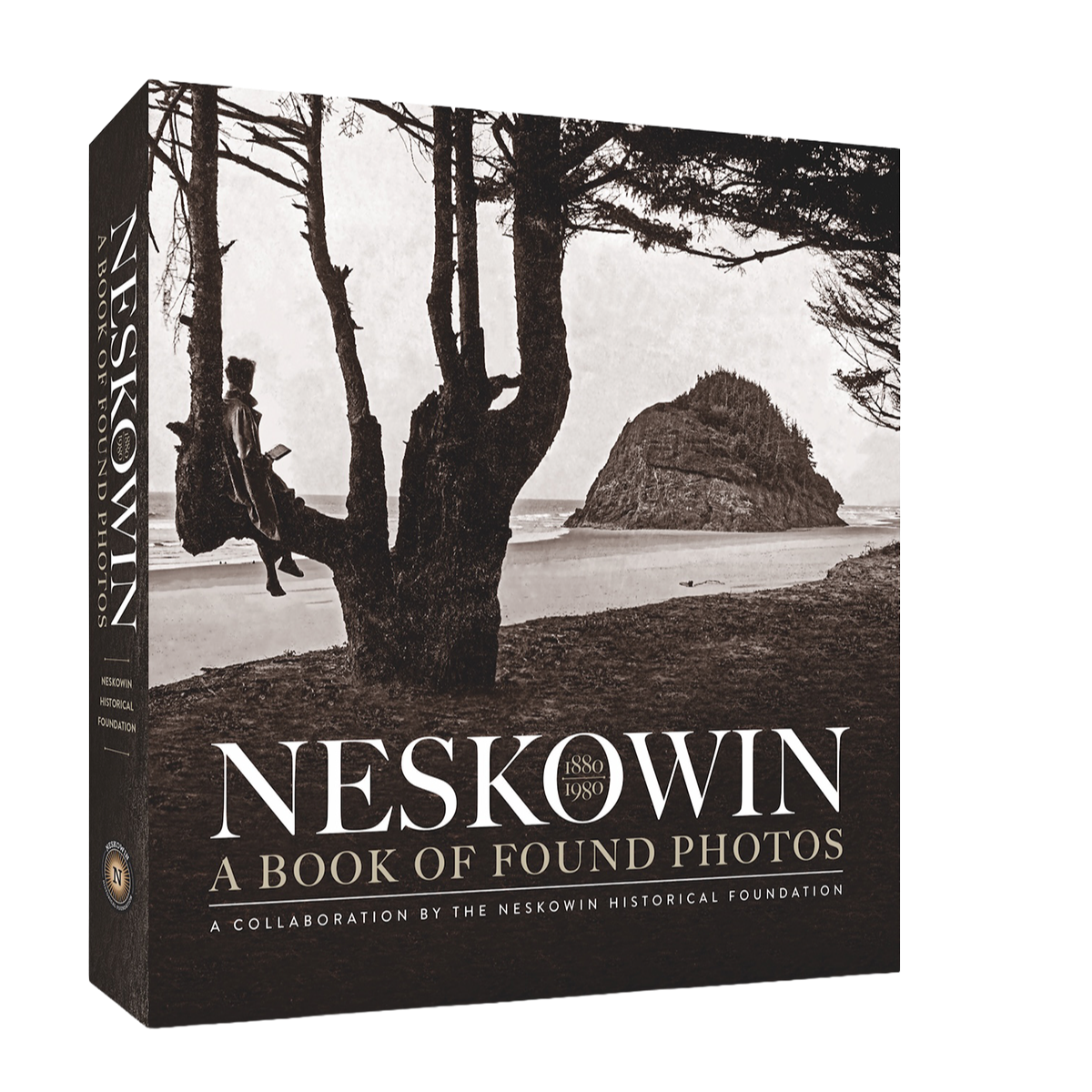 Nesko_3D_Cover.png
