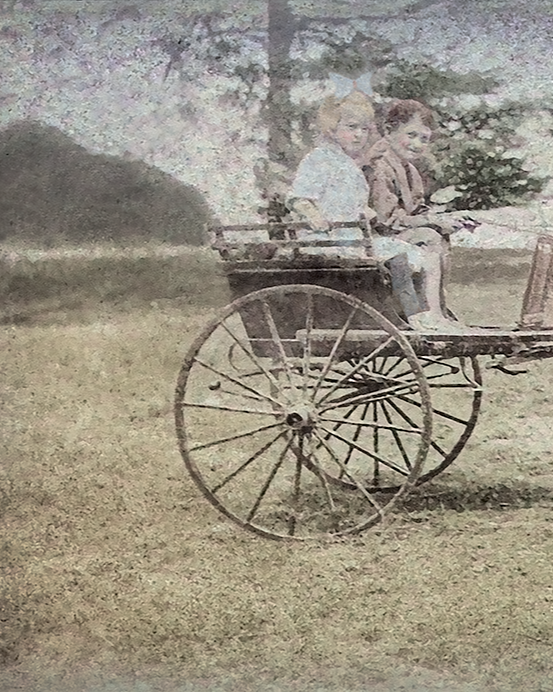 HorseBuggy.ProposalRock.Steiner.png
