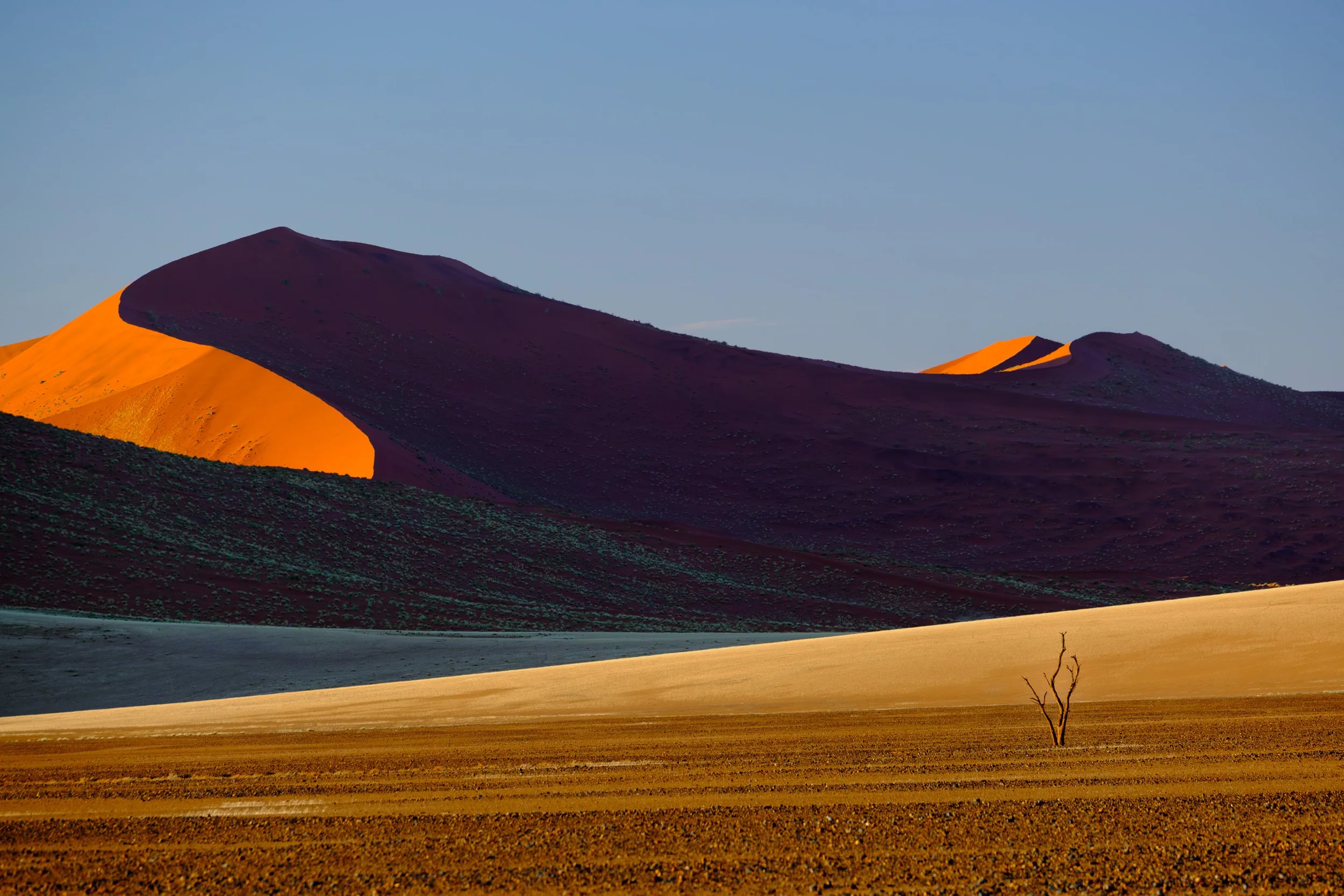 Last One Standing  |  Sossusvlei, Namib-Naukluft National Park, Namibia