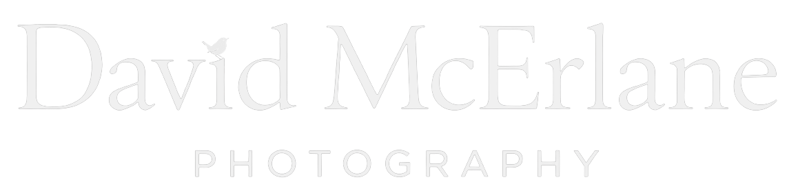David McErlane Photography