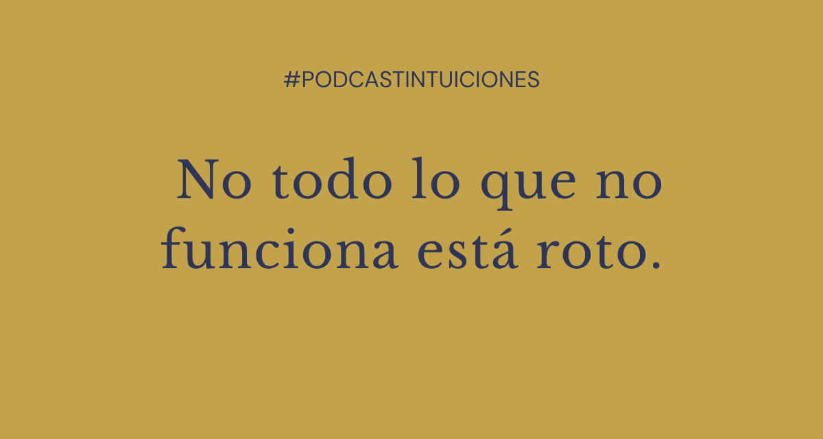 EPISODIO 16: No todo lo que no funciona está roto.