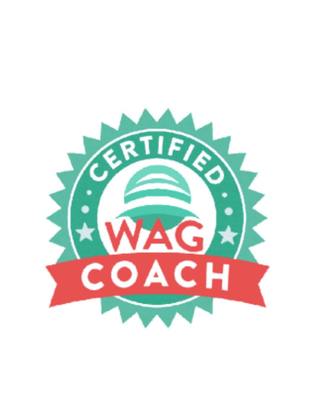 A certification badge with a teal starburst border, featuring a stylized green Wi-Fi signal in the center, with the words "CERTIFIED" at the top, "WAG" in red letters in the middle, and "COACH" on a red ribbon at the bottom.