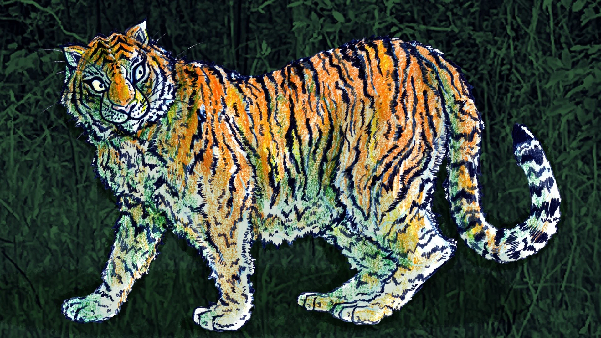 tiger copy 2.jpg