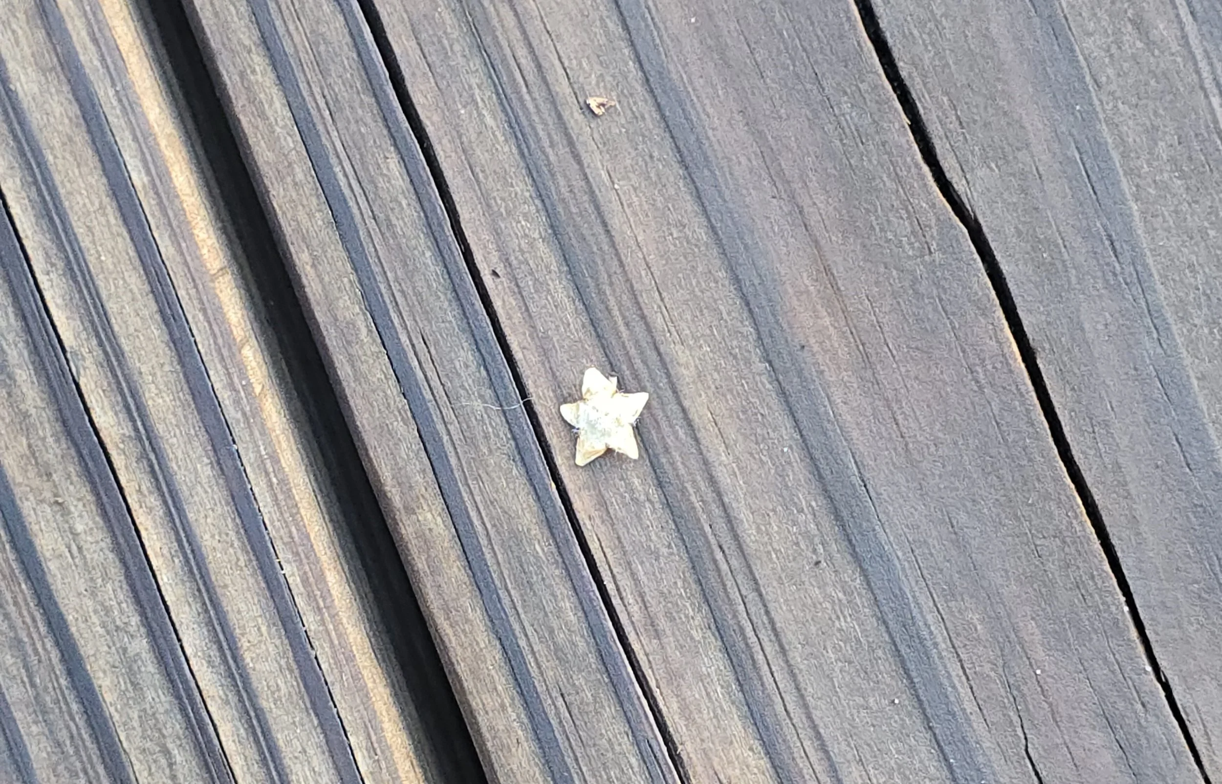 Star on Stairs.jpg