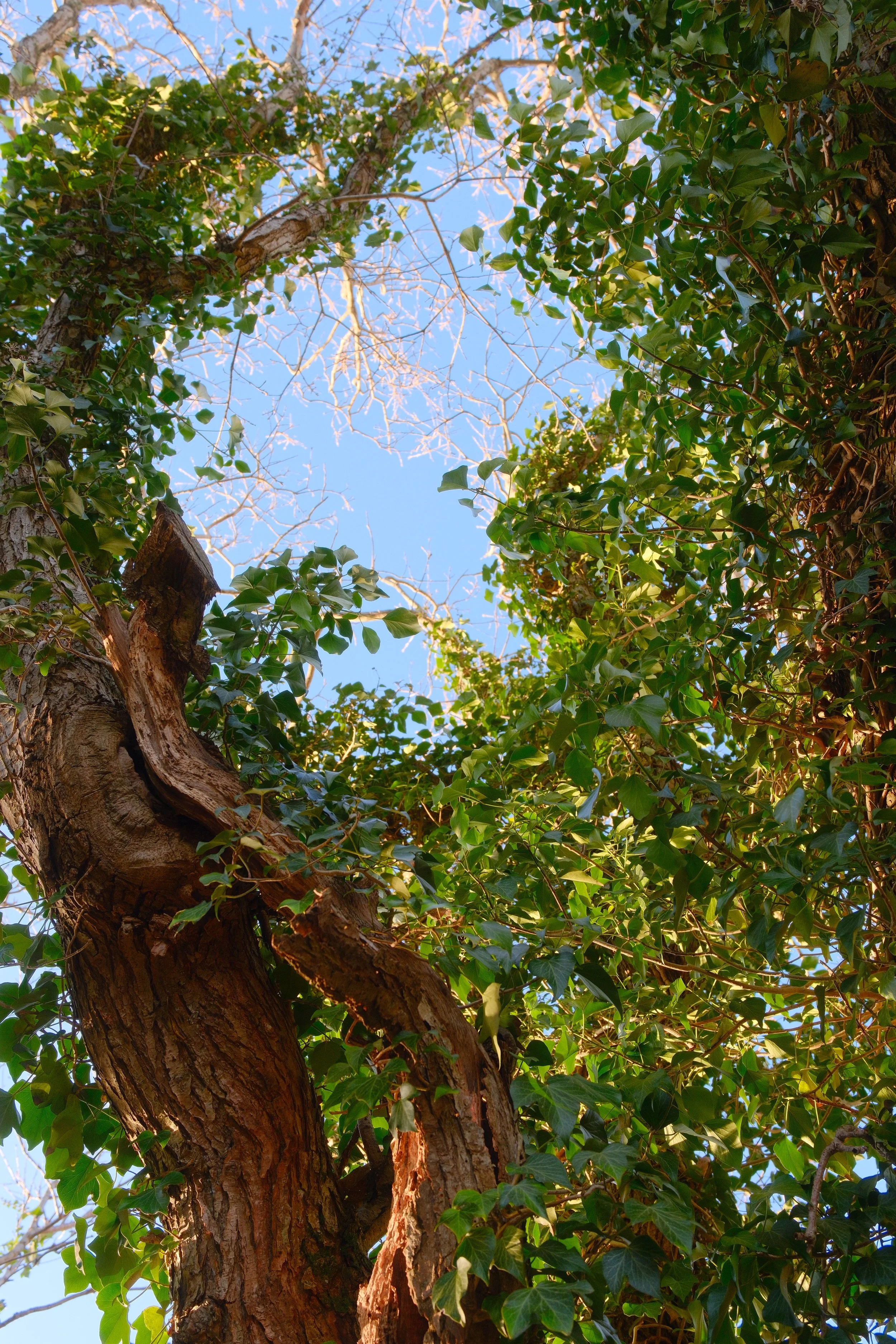 DSCF2189.JPG