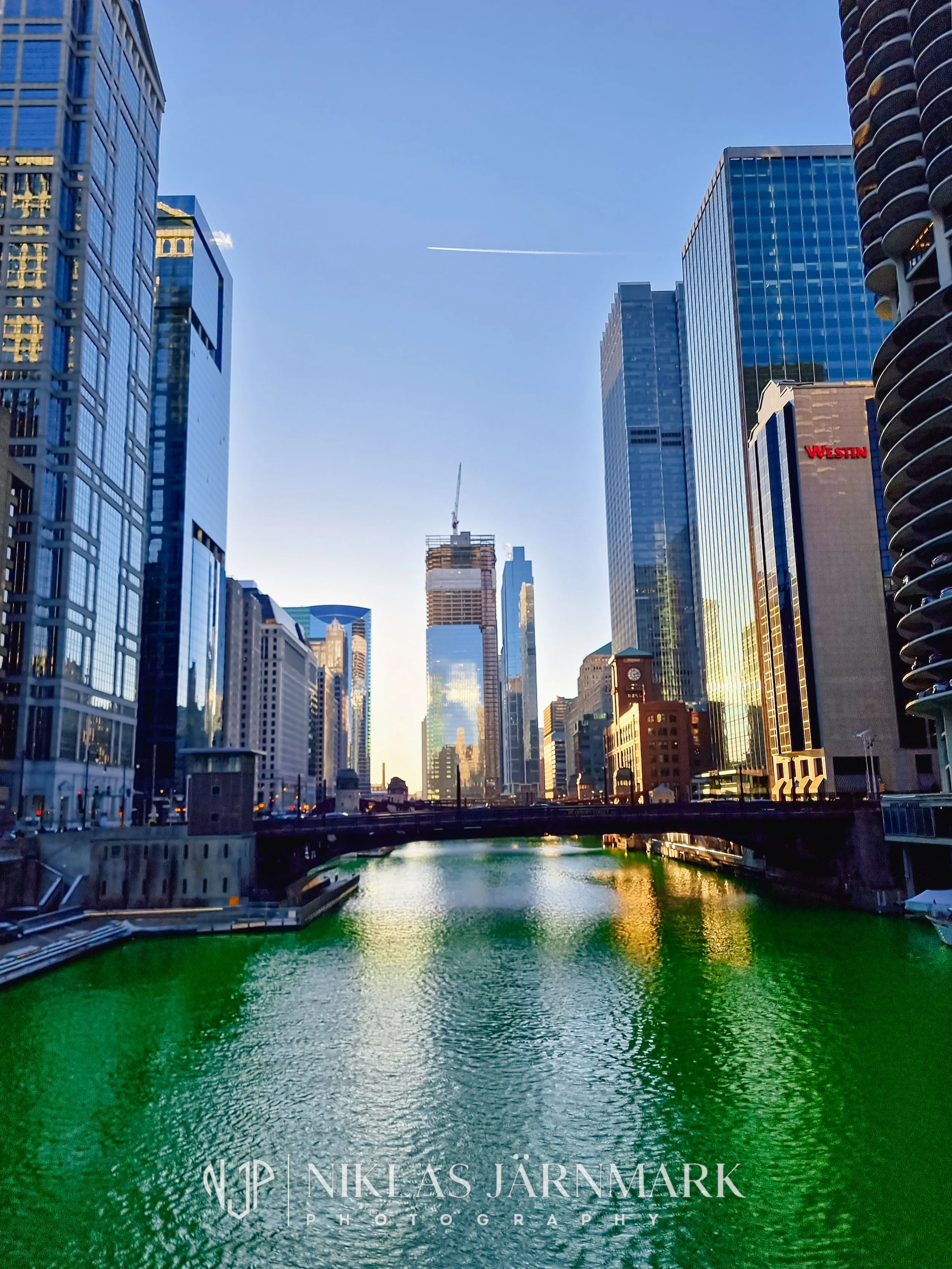 20220312_171208.jpg