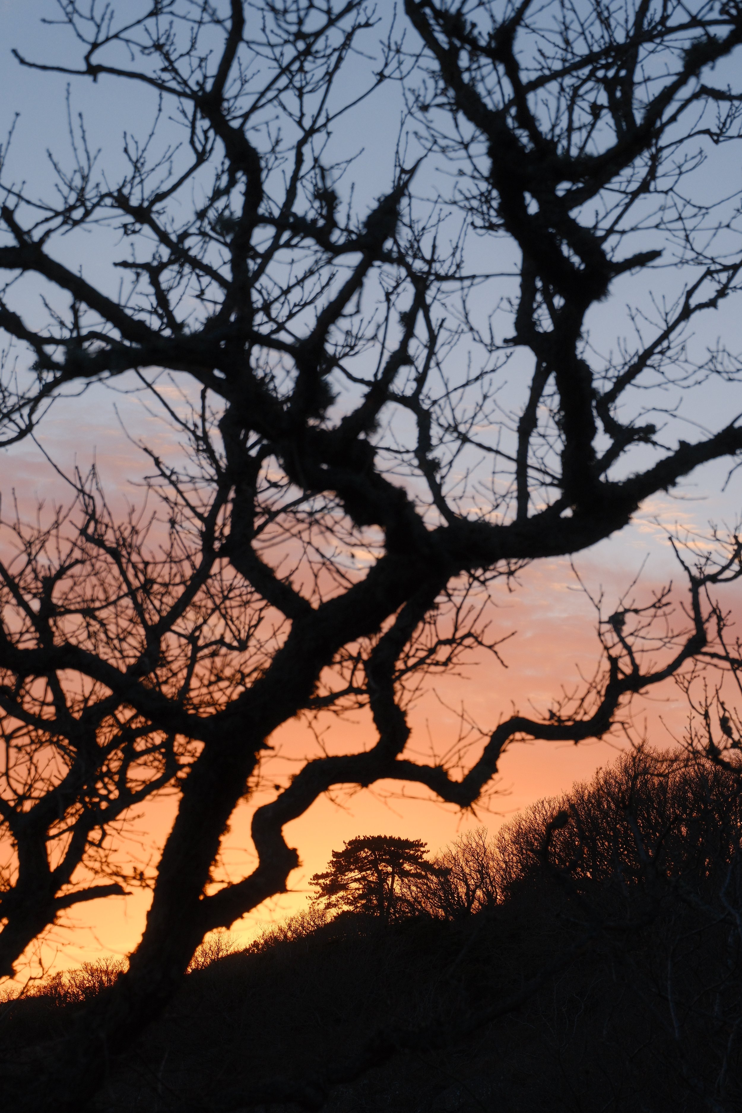 DSCF2288.JPG