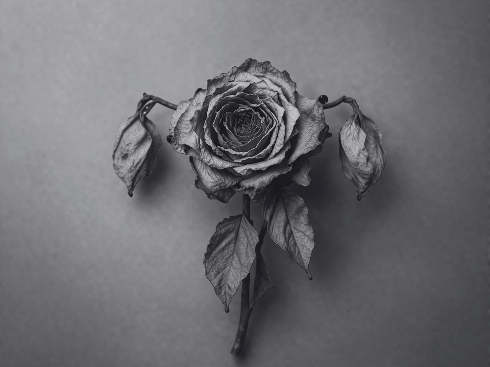 La ménopause après un cancer du sein