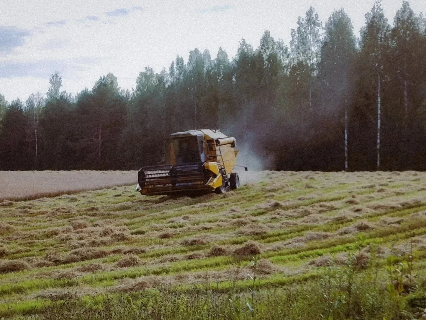 Tuottajapäivä 1.10. – mistä hampurilaisketjujen raaka-aineet tulevat?