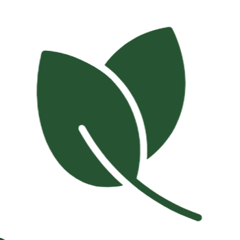 Simple illustration of two green leaves.