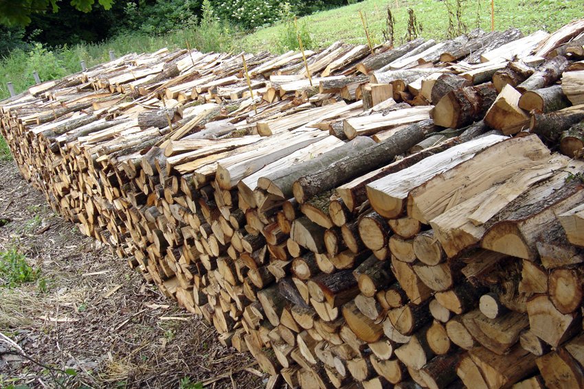 Bois de chauffage en châtaignier – bûches 50 cm