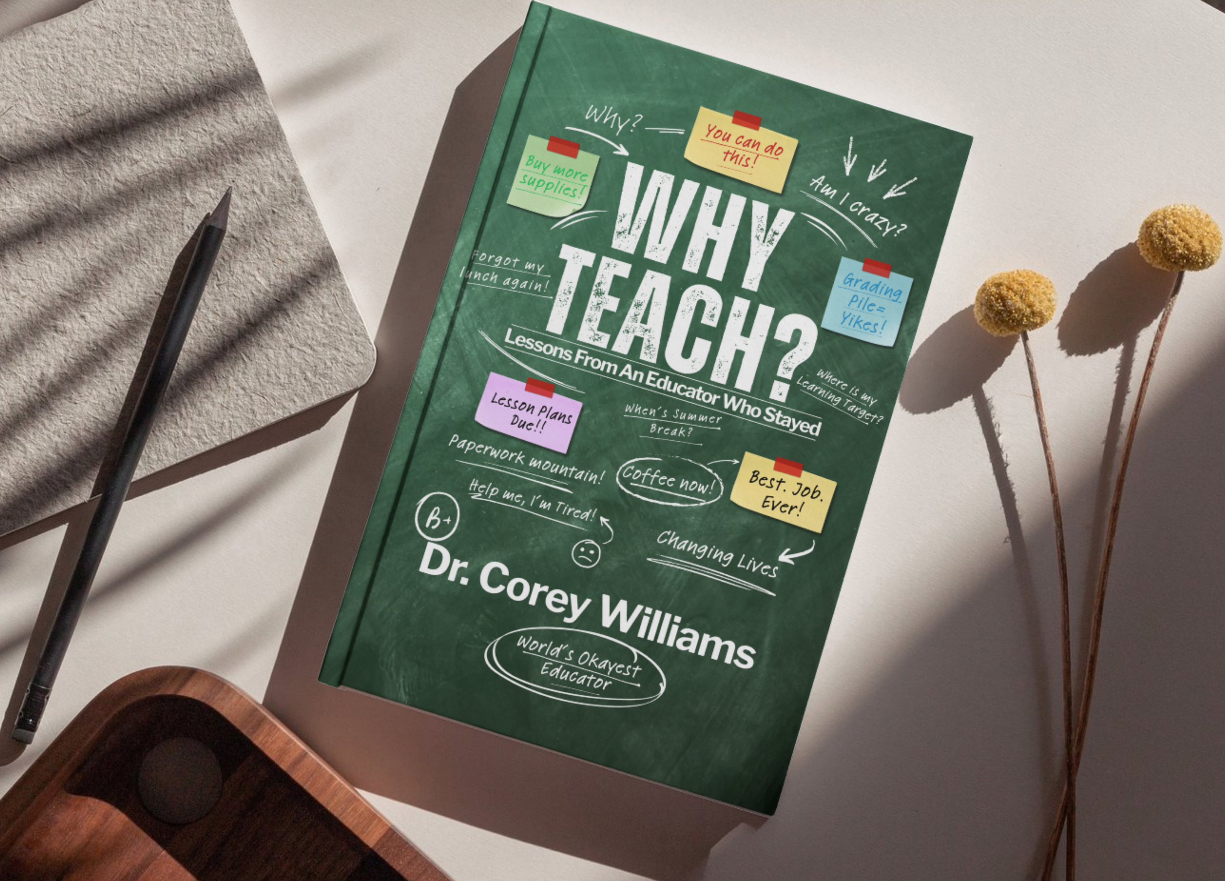 Why Teach? (Paperback)