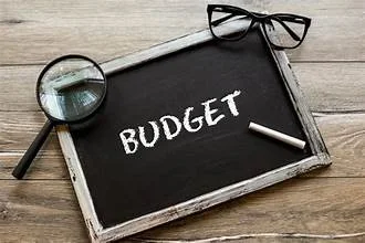 Financial Planning, Budgeting and Auditing Readiness