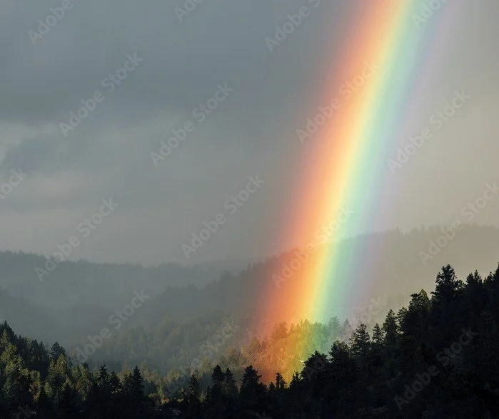Rainbow baby support package