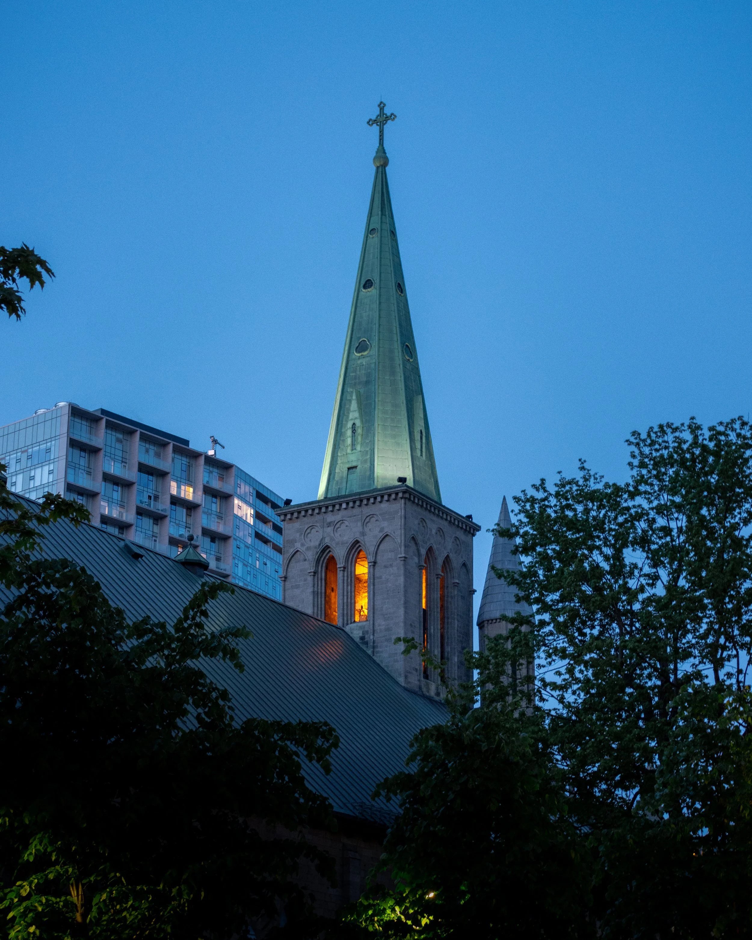 IMG_2502-pt.jpg
