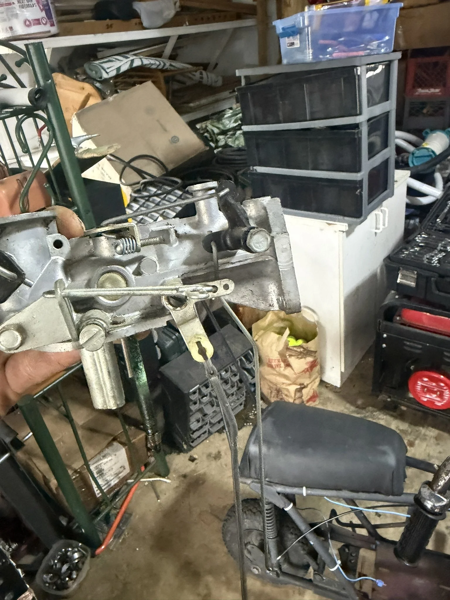 IMG_3187.JPEG
