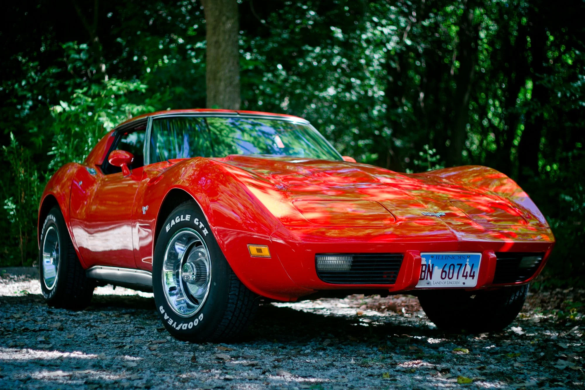 2019-08_vette01socialmedia-12.jpg