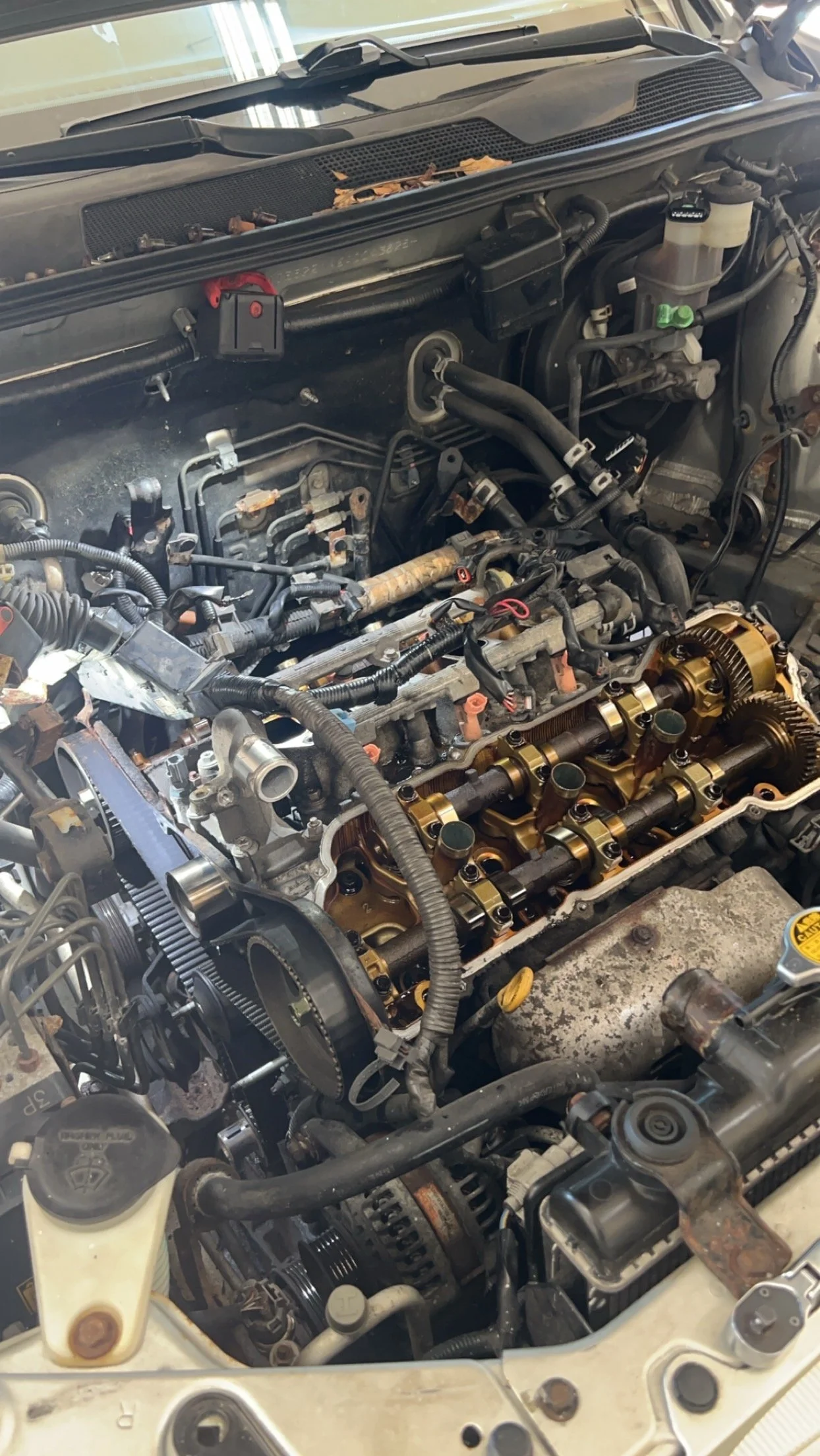Car engine with valve cover removed, showing camshafts and timing gears.