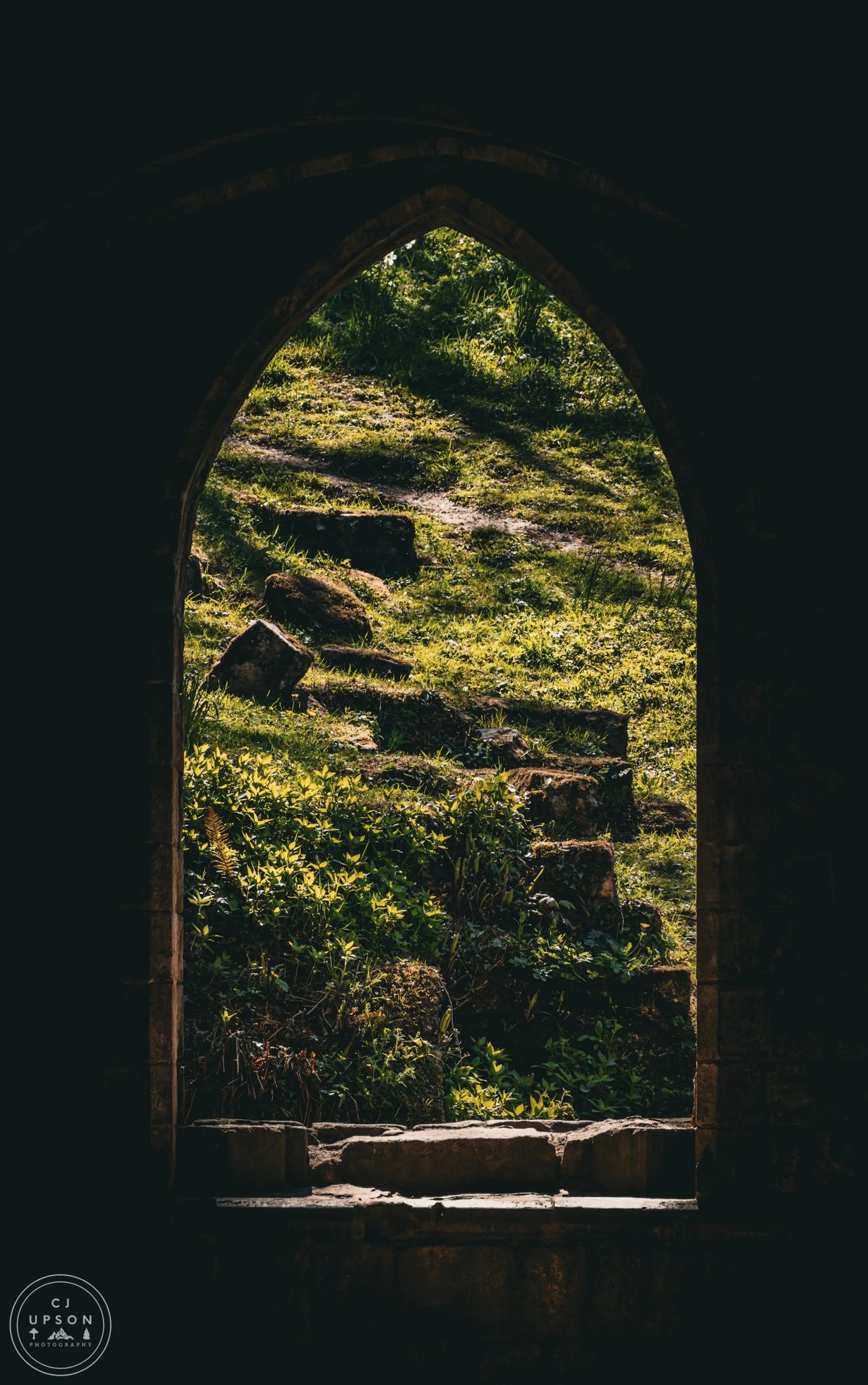 _4290403.jpg