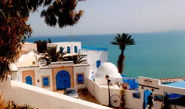 White buildings with blue doors and accents on a hillside overlooking the ocean, with palm trees and a clear sky.