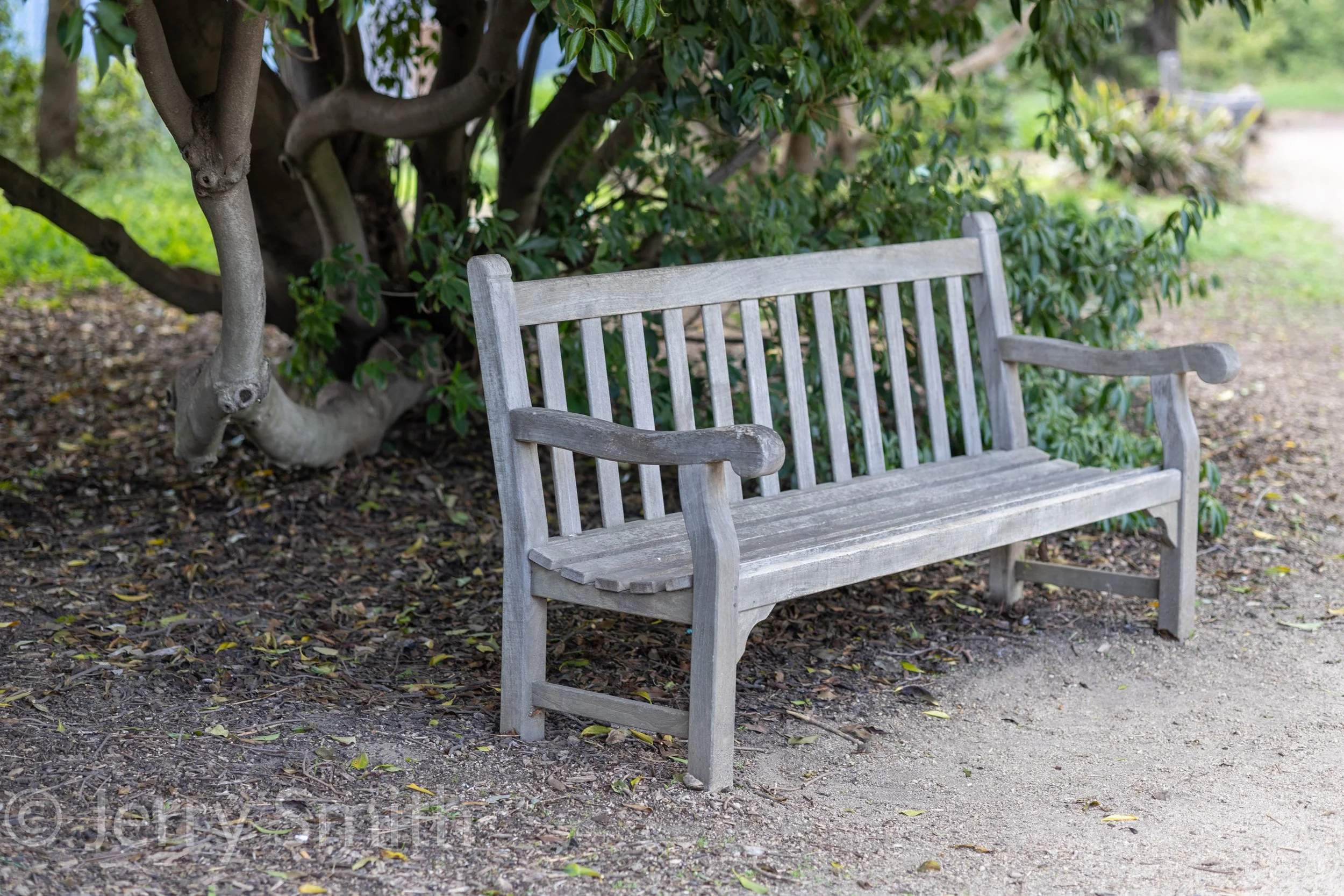 Lone Bench.jpg