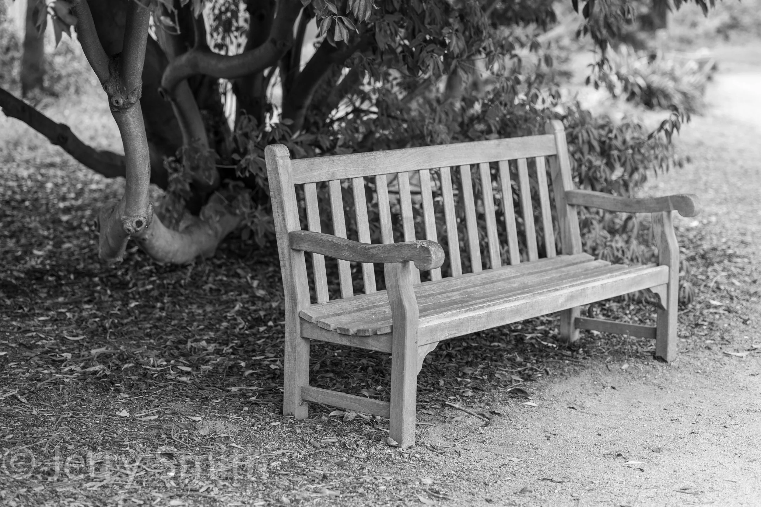 Lone Bench BW.jpg