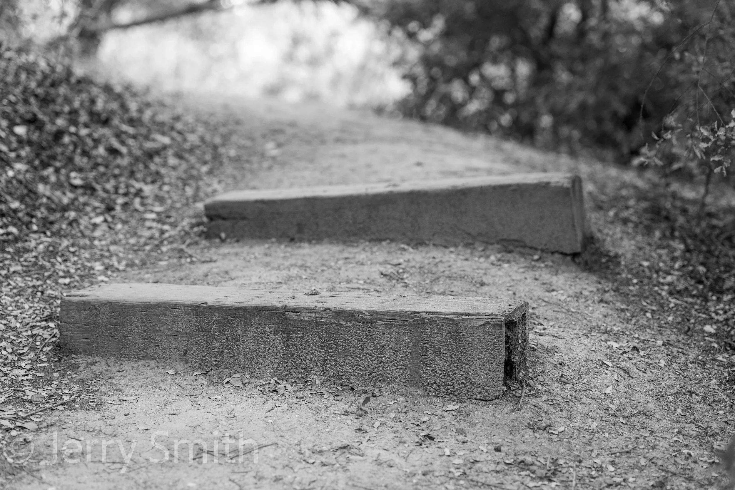 The Stepped Path