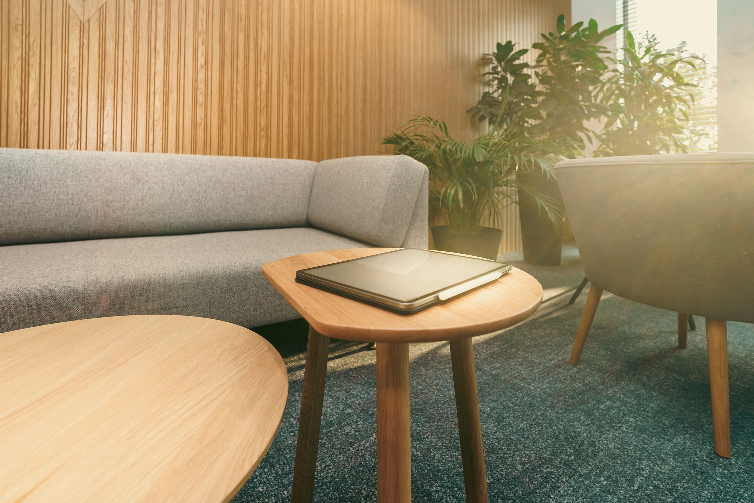 Interior of a modern living room with wooden wall paneling, a light gray sofa, a round wooden coffee table with a closed laptop on it, and green potted plants in the corner. Sunlight streams in from the right side.